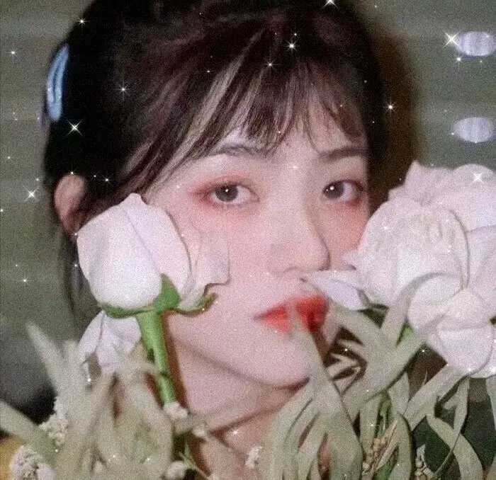 海伦夫人的冒险